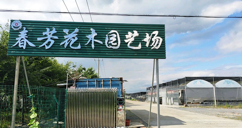 上海春芳花木園藝場(chǎng)